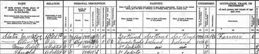 snip from 1900 US census
